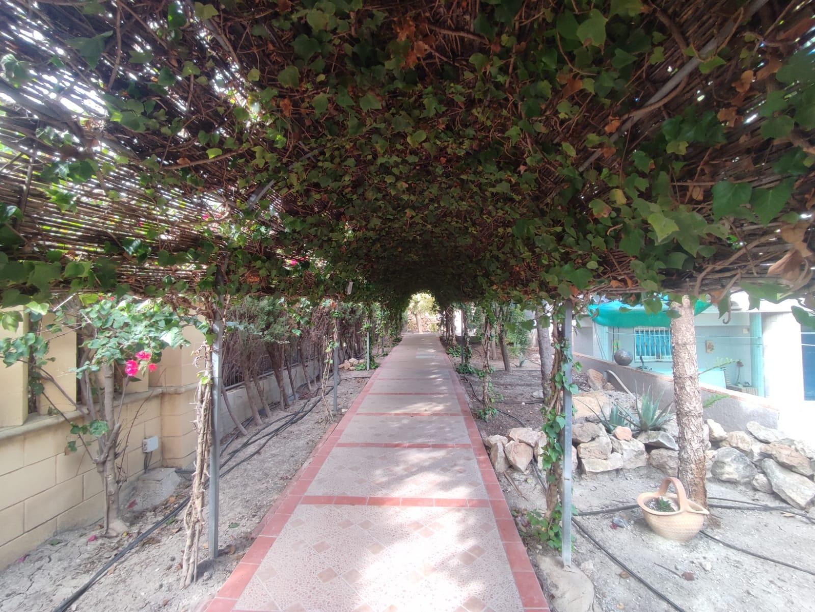Villa in San Fulgencio, Alicante, Spanien 6 Schlafzimmer, 404 m2 Nr. 113018
