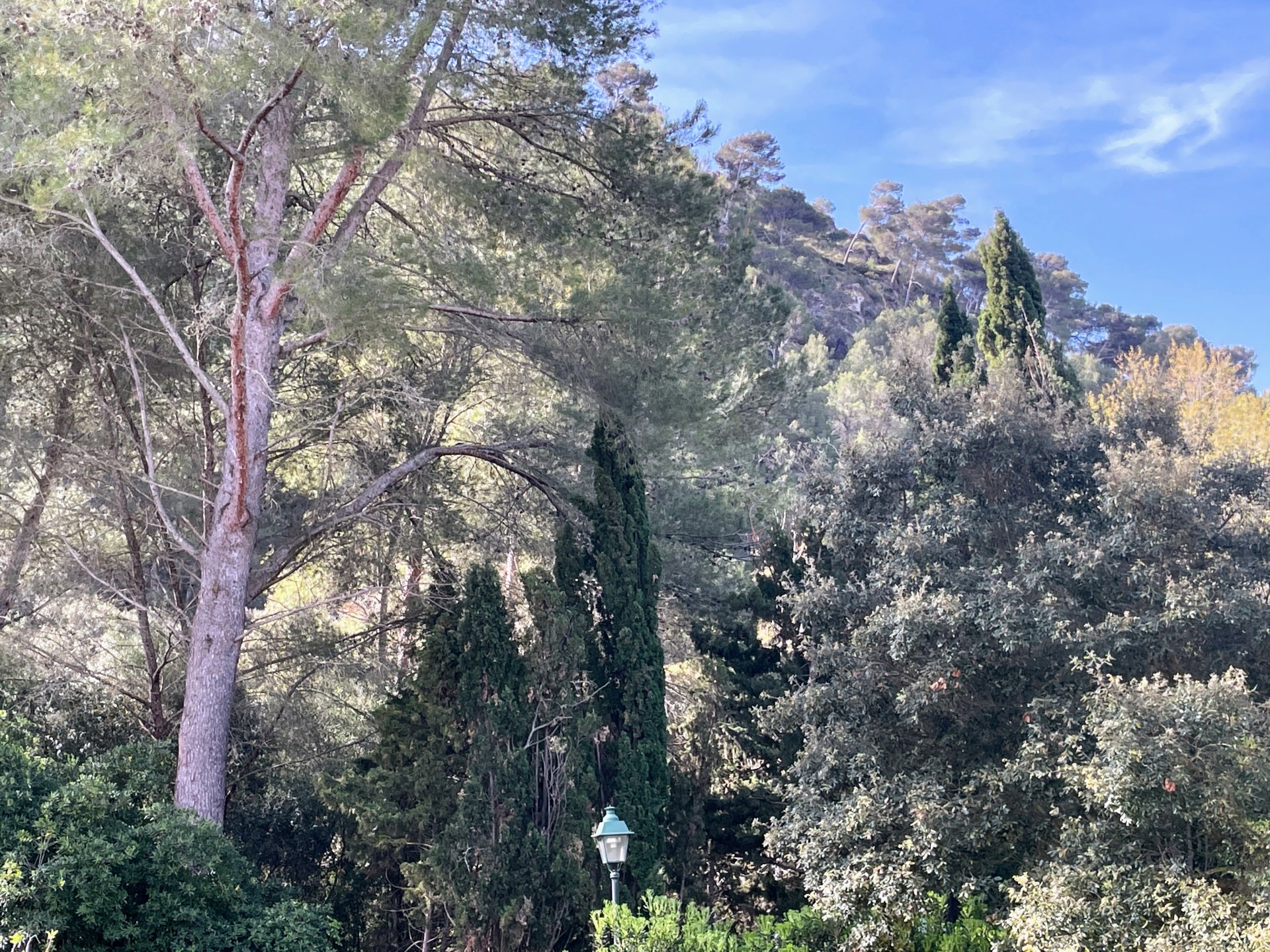 Land plot in Cala Sant Vicenc, Mallorca, Spain 820 sq.m. No. 102877