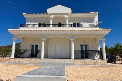 Villa Pinoso, Alicante, Spānijā 4 istabas, 163 m2 Nr. 142333