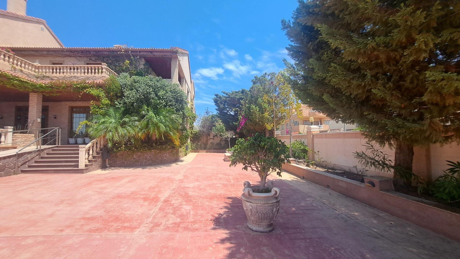 Commercial property à La Zenia, Alicante, Espagne 871 m2 No. 109060