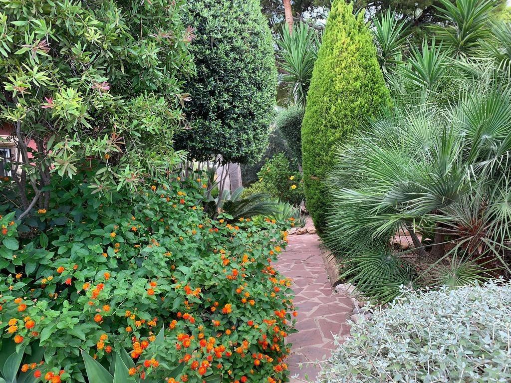 Apartment in Galera de las Palmeras, Alicante, Spain 3 bedrooms, 412 sq.m. No. 165304