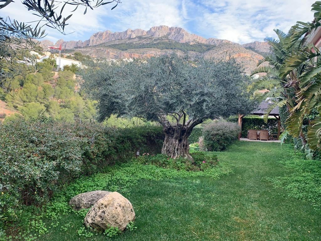 Apartment in Galera de las Palmeras, Alicante, Spain 3 bedrooms, 412 sq.m. No. 165304