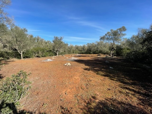 Działka w Felanitx, Mallorca, Hiszpania 1 sypialnia, 61150 mkw. nr 111892