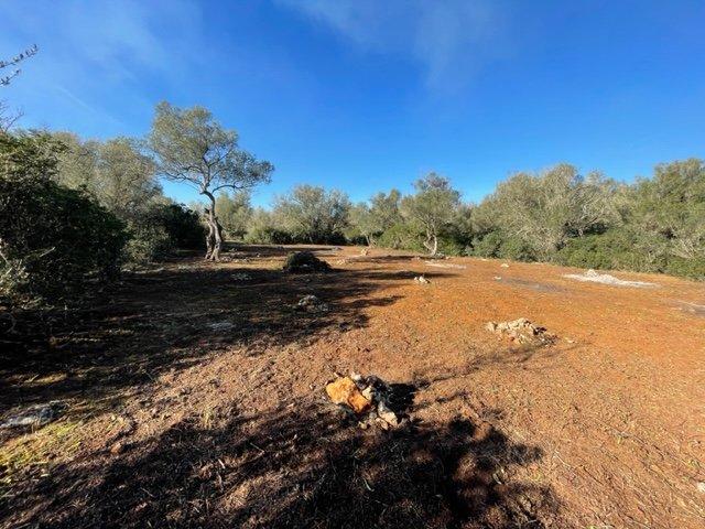 Działka w Felanitx, Mallorca, Hiszpania 1 sypialnia, 61150 mkw. nr 111892