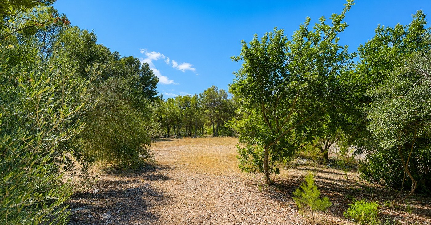 Zemes gabals Santa Ponsa, Mallorca, Spānijā 4 istabas, 400 m2 Nr. 196214