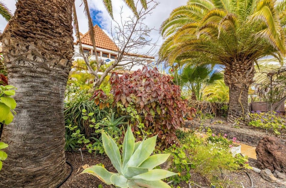 Commercial property in Arona, Tenerife, Spain 27 bedrooms, 1656 sq.m. No. 146724