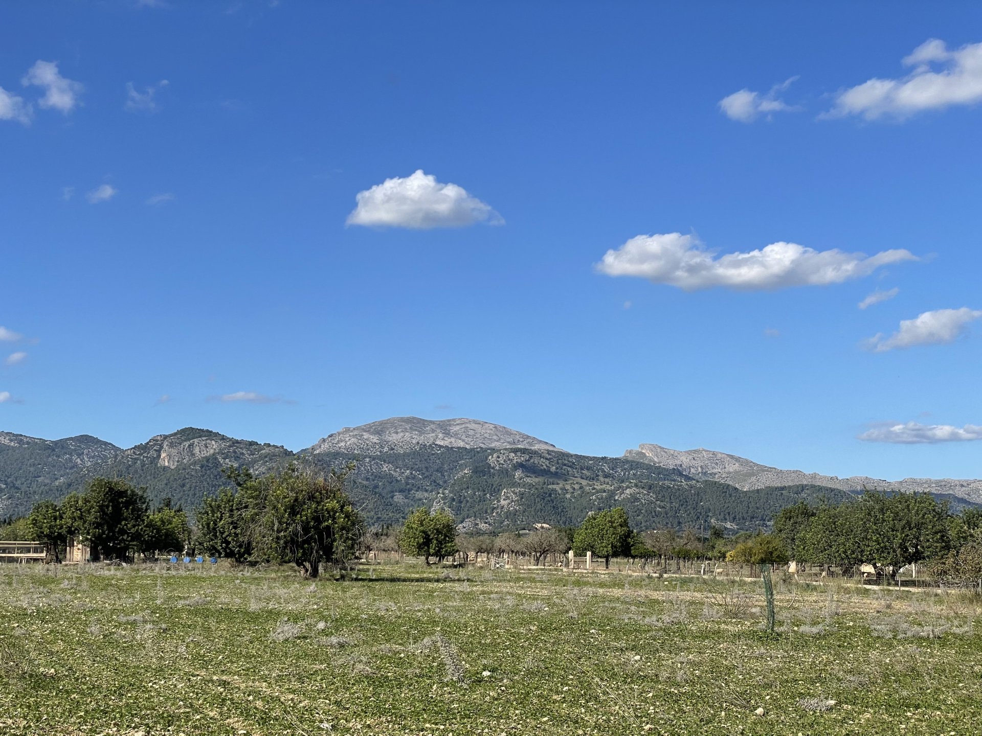 Land in Moscari, Mallorca, Spanien 4 Schlafzimmer, 17200 m2 Nr. 147486