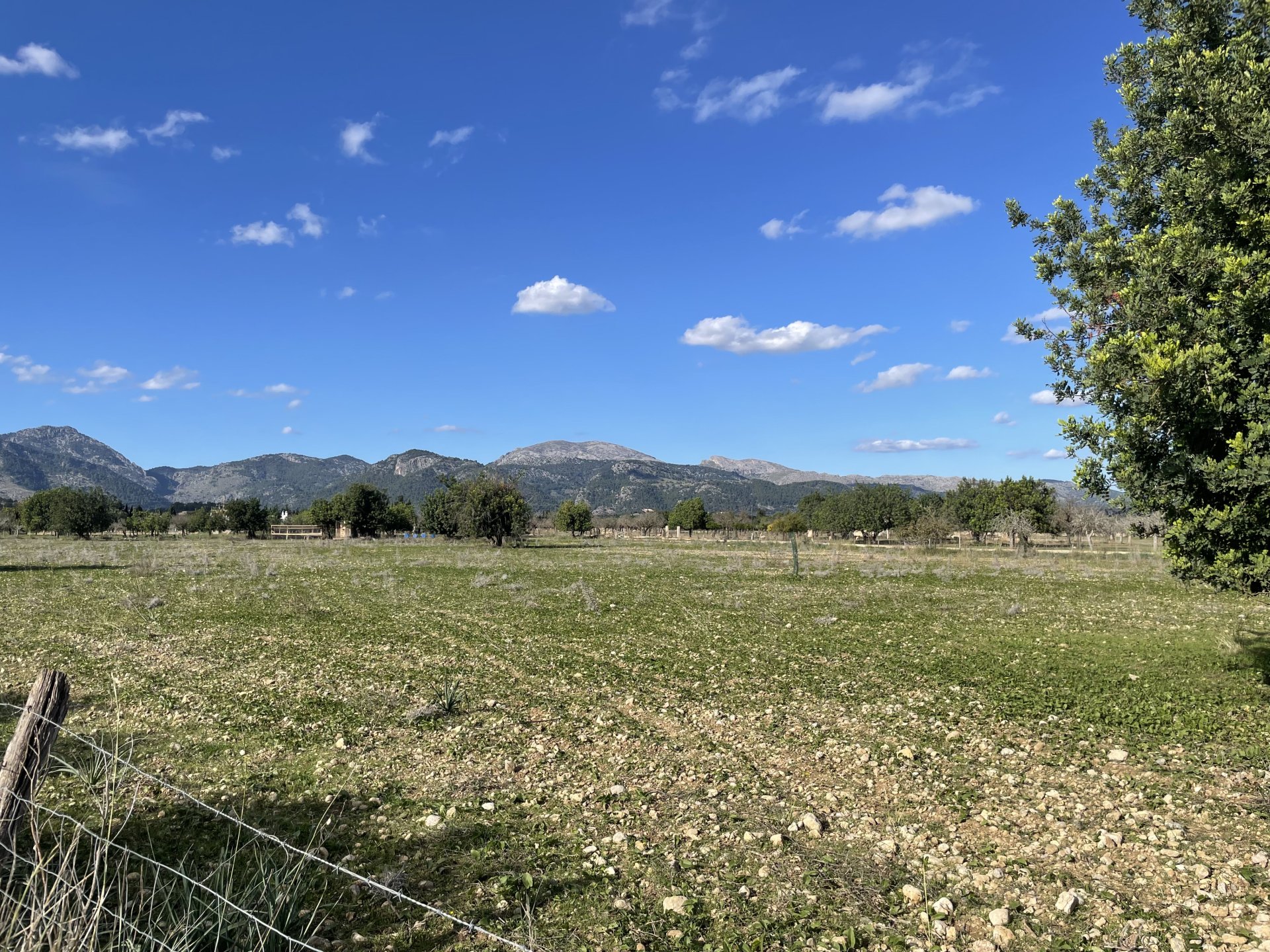Land in Moscari, Mallorca, Spanien 4 Schlafzimmer, 17200 m2 Nr. 147486