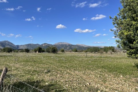 Land plot in Moscari, Mallorca, Spain 4 bedrooms, 17200 sq.m. No. 147486