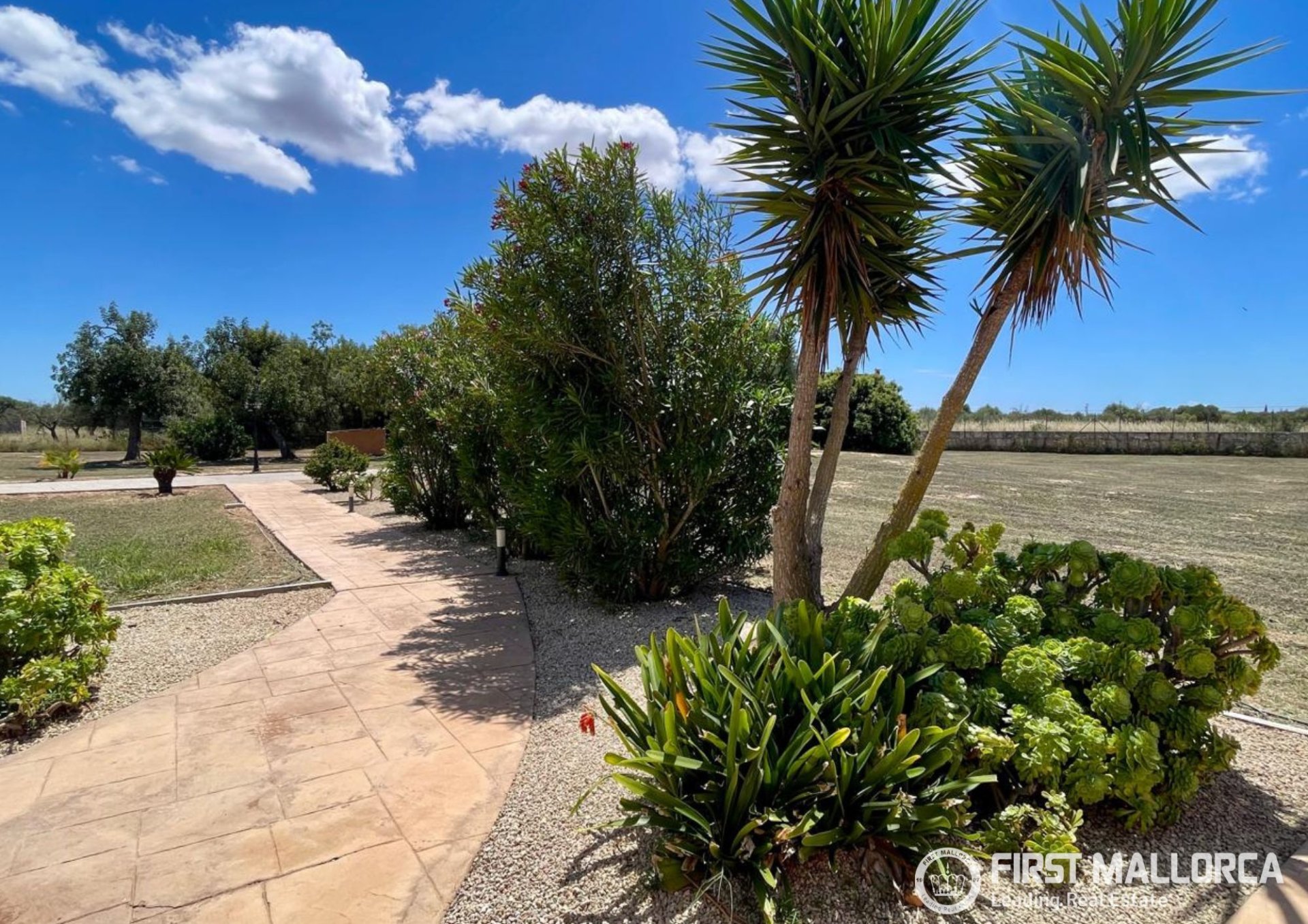 Finca in Campos, Mallorca, Spain 3 bedrooms, 212 sq.m. No. 167954