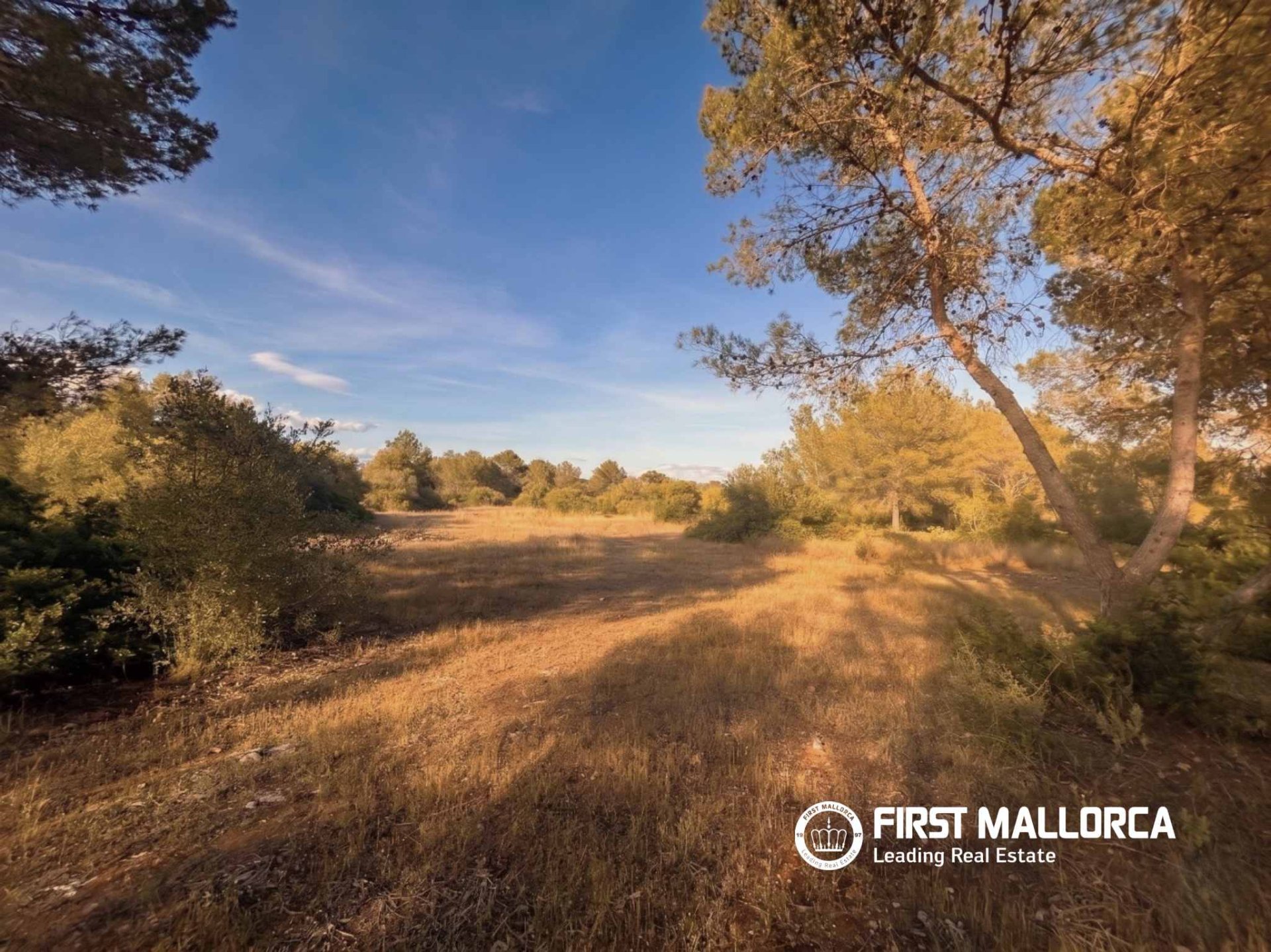Tomt i Algaida, Mallorca, Spanien 25600 kvm. Nr. 167952