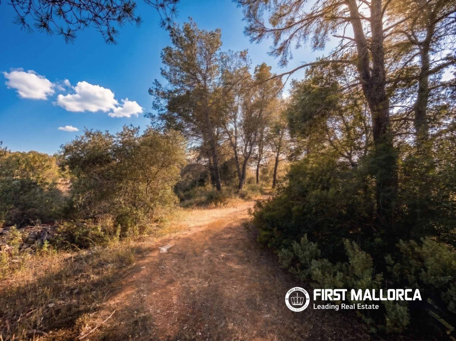 Tomt i Algaida, Mallorca, Spanien 25600 kvm. Nr. 167952