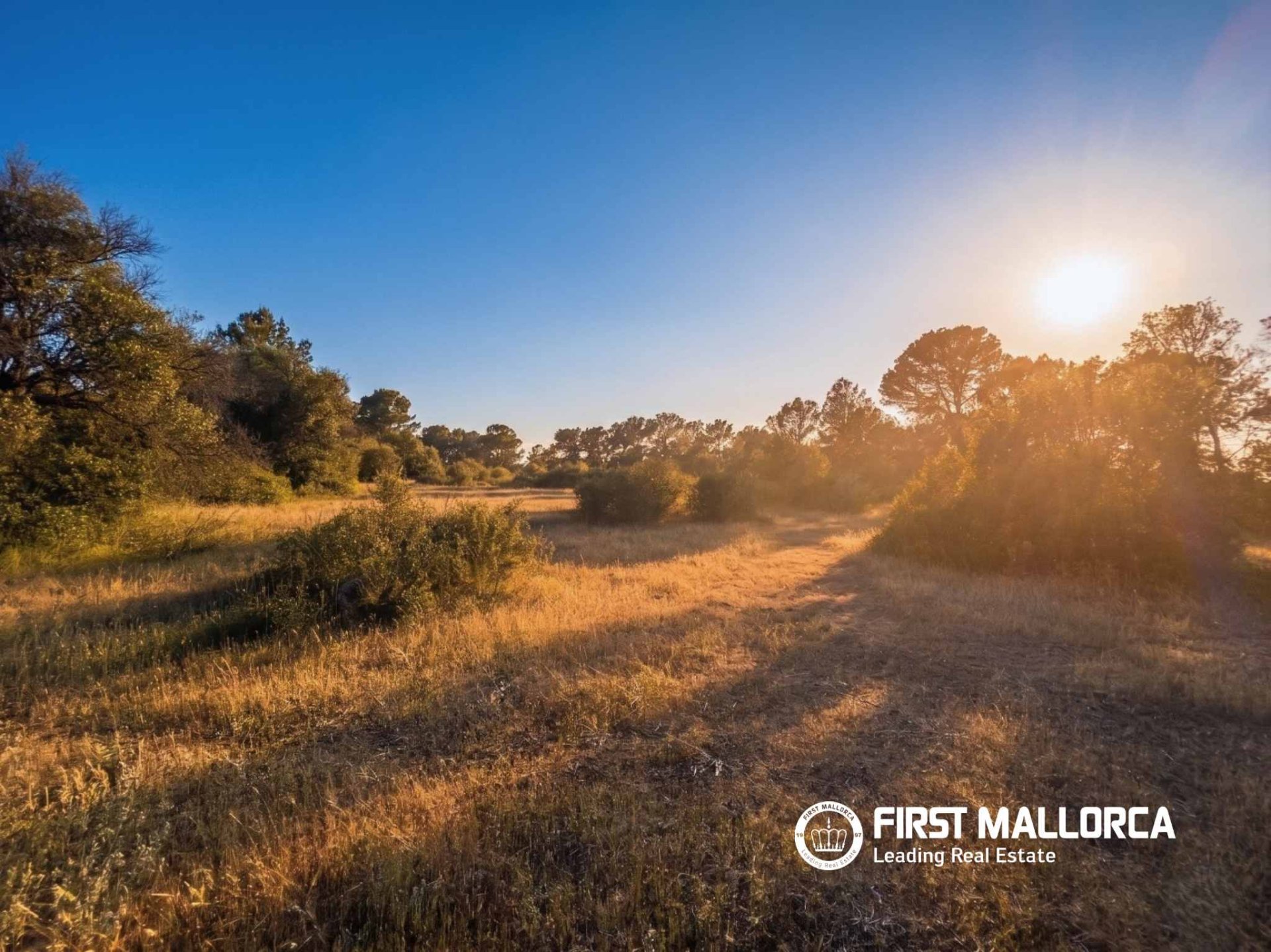 Tomt i Algaida, Mallorca, Spanien 25600 kvm. Nr. 167952