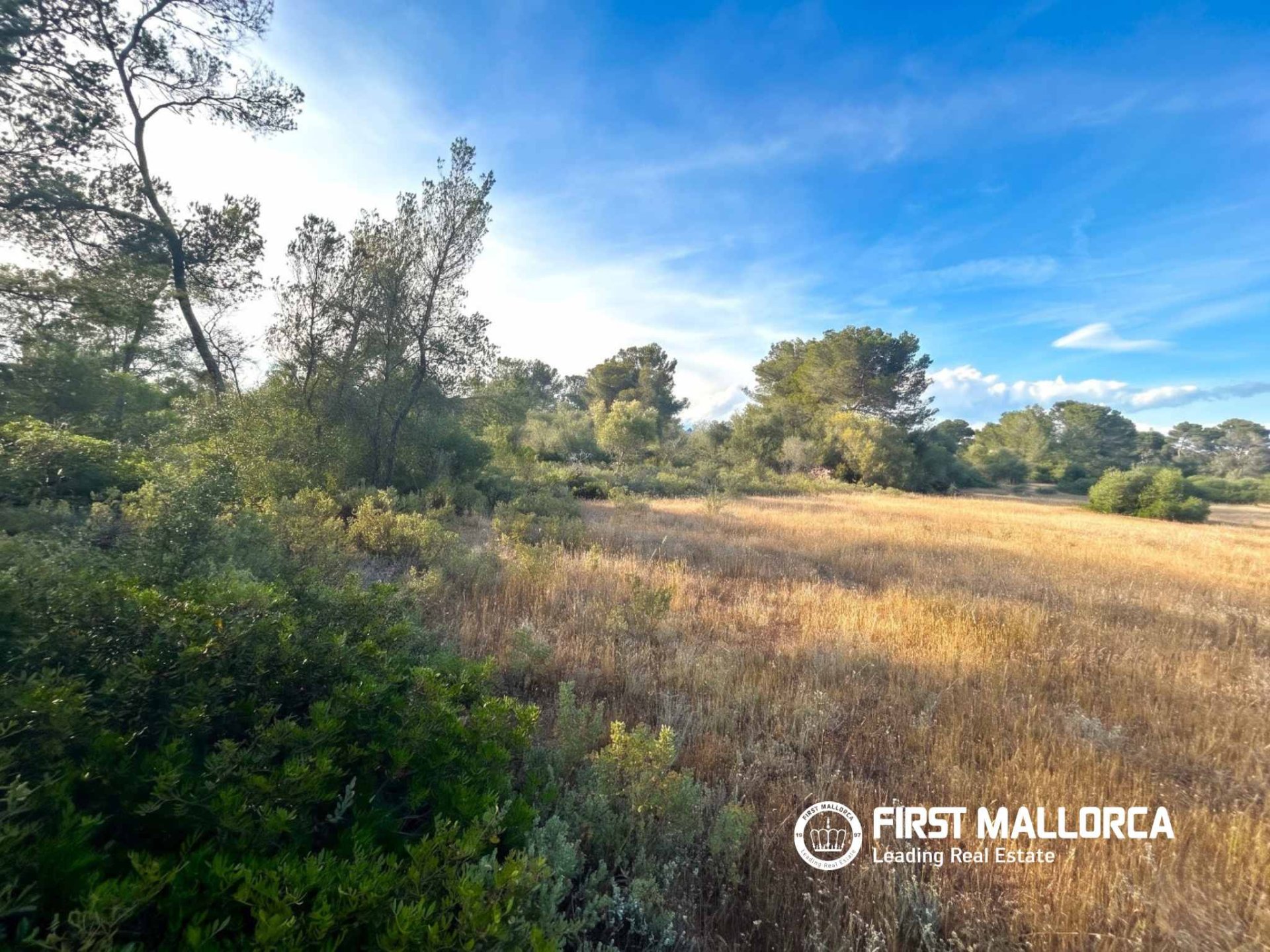 Tomt i Algaida, Mallorca, Spanien 25600 kvm. Nr. 167952