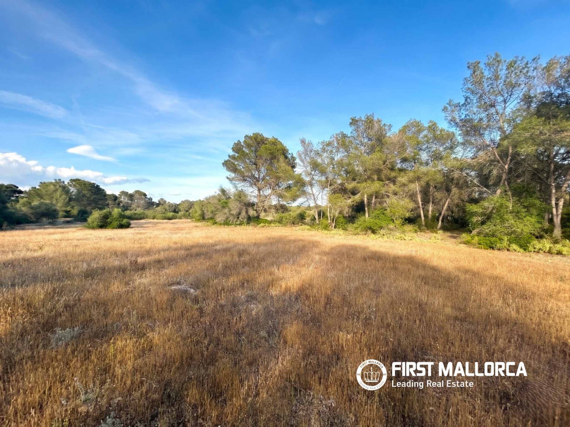 Tomt i Algaida, Mallorca, Spanien 25600 kvm. Nr. 167952