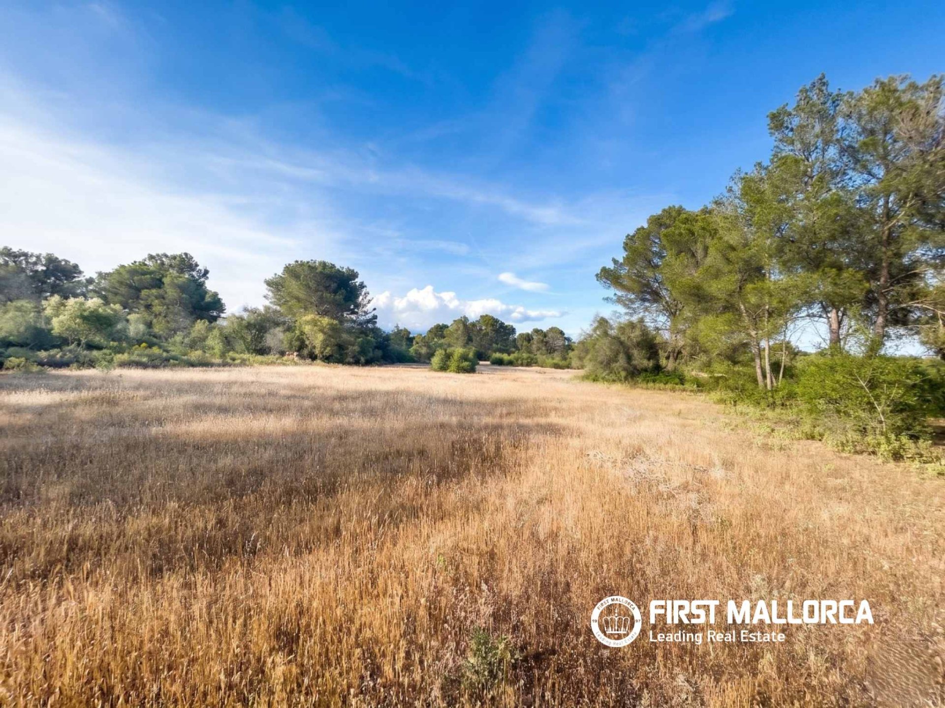 Tomt i Algaida, Mallorca, Spanien 25600 kvm. Nr. 167952