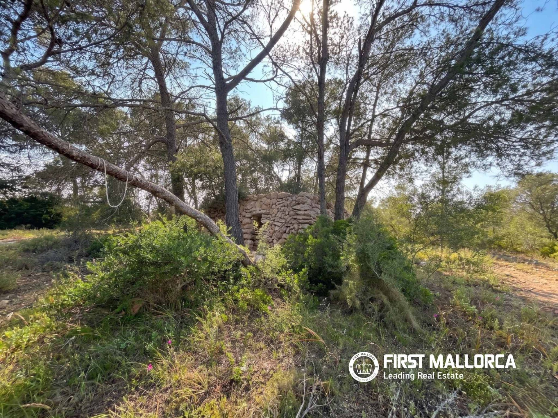 Tomt i Algaida, Mallorca, Spanien 25600 kvm. Nr. 167952