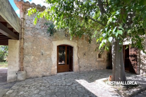 Finca à Sineu, Mallorca, Espagne 5 chambres, 318 m2 No. 167956