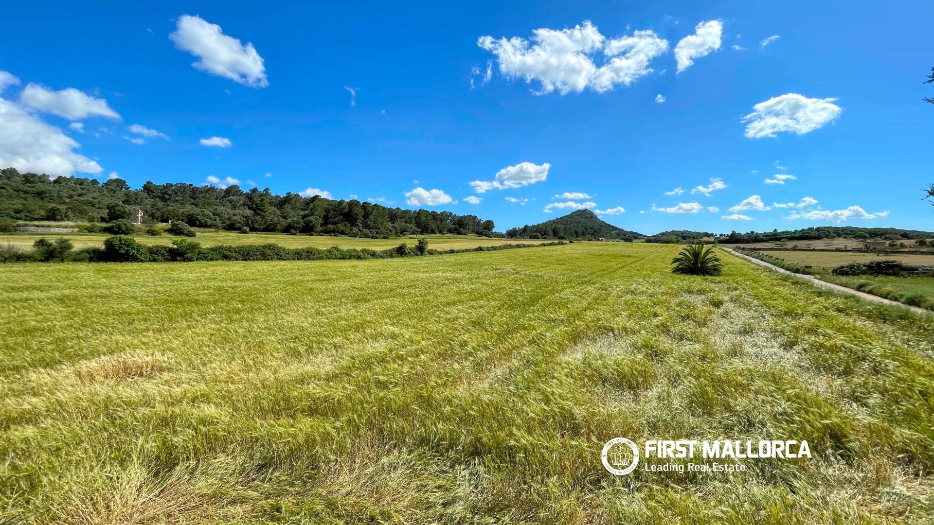 Finca à Sineu, Mallorca, Espagne 5 chambres, 318 m2 No. 167956