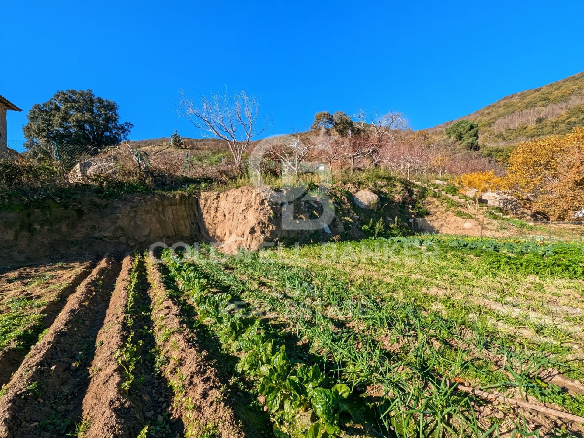 House in Agullana, Girona, Spain 12 bedrooms, 1584 sq.m. No. 159868