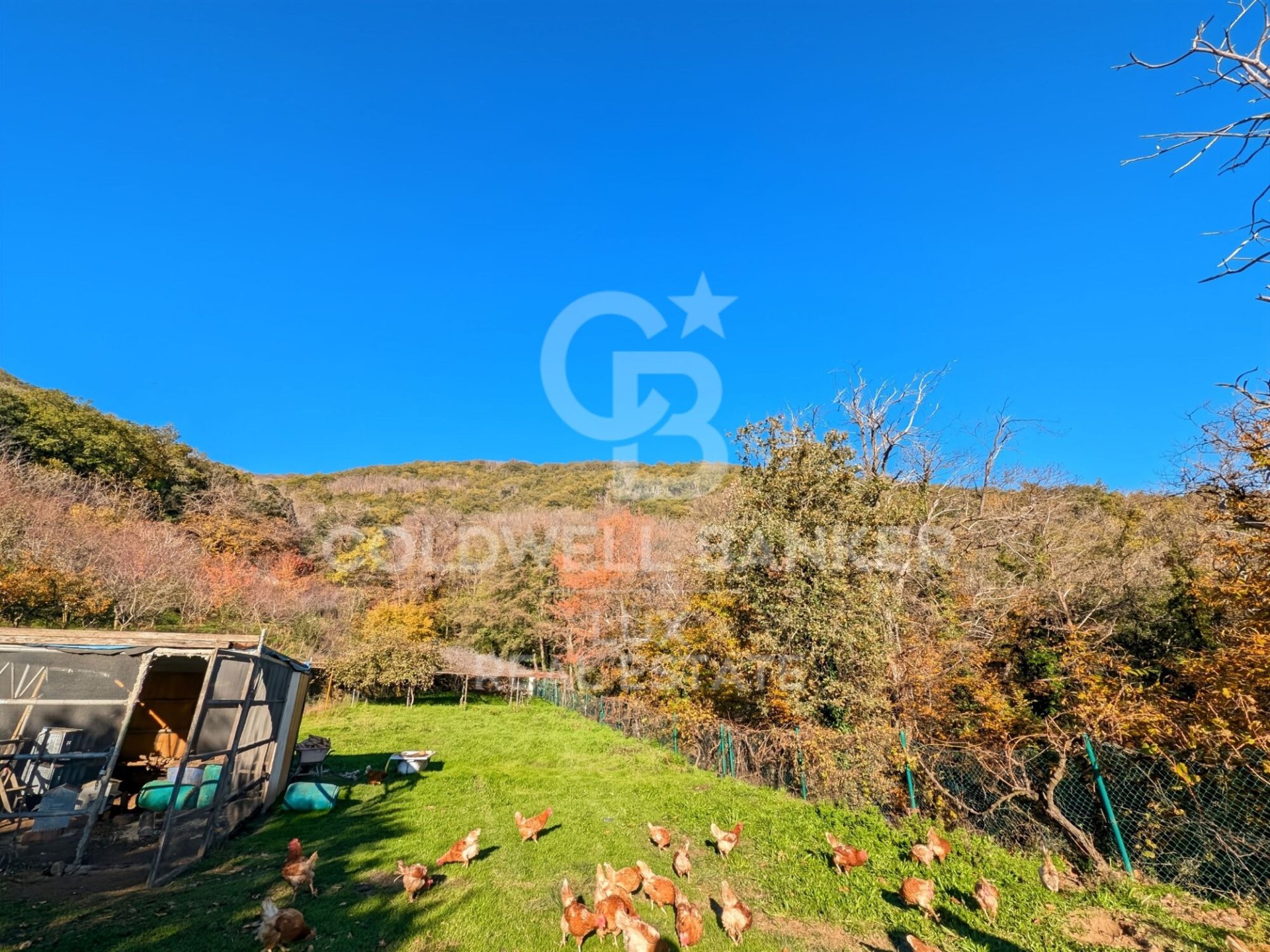 House in Agullana, Girona, Spain 12 bedrooms, 1584 sq.m. No. 159868