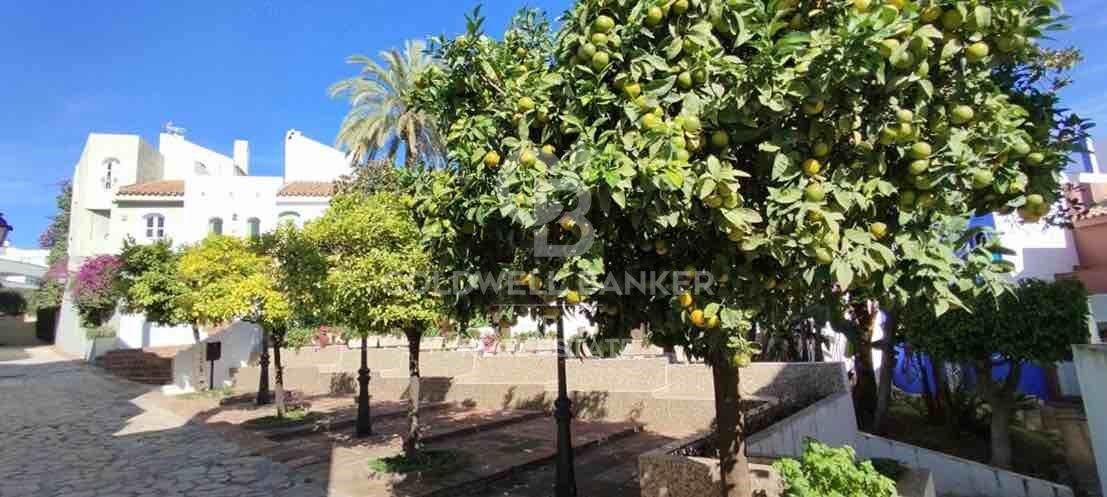 Kolmio Marbella, Malaga, Espanja 5 makuuhuonetta, 210 m2 No. 159865
