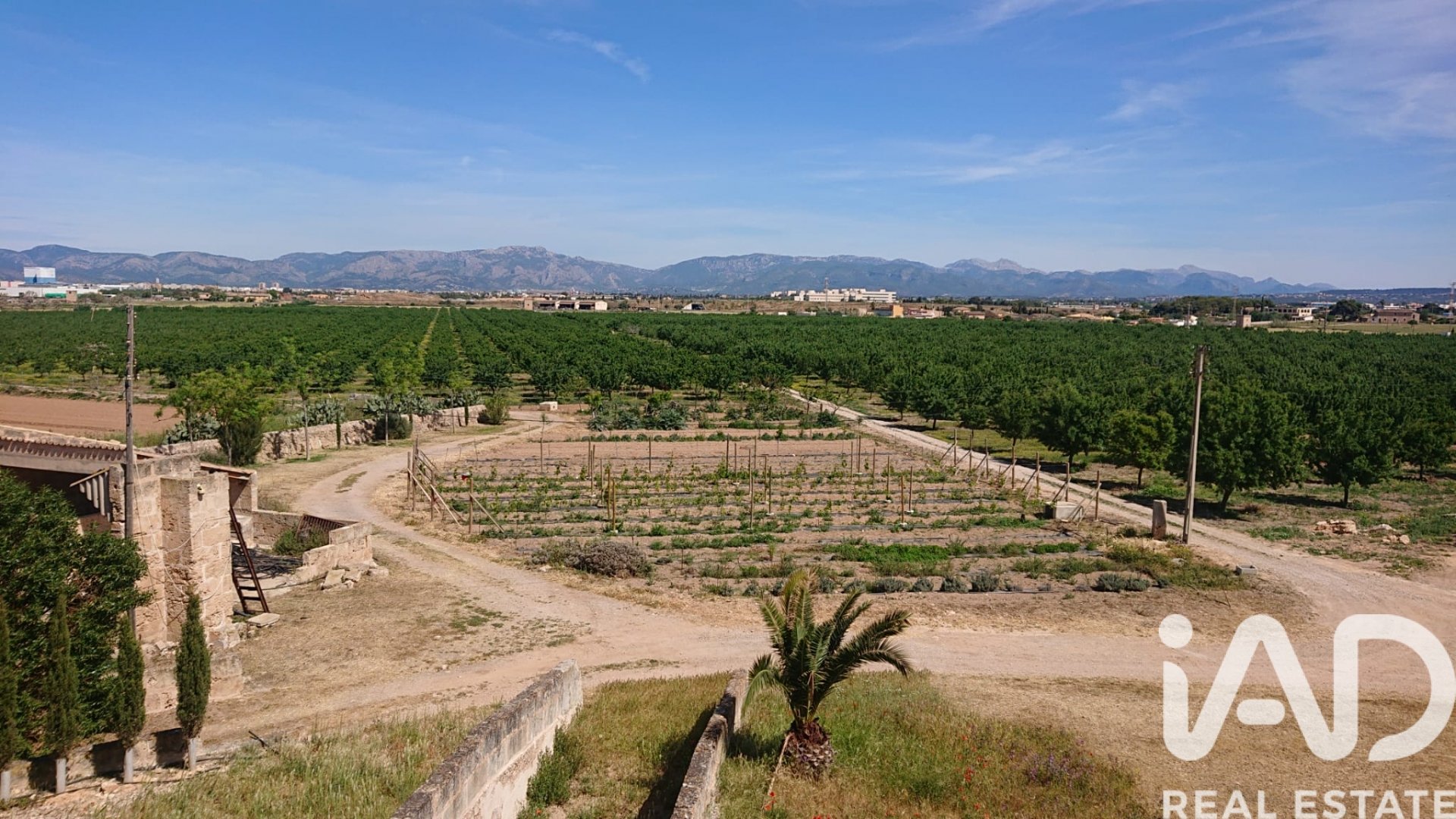 Сasa en Palma de Mallorca, Mallorca, España 5300 m2 No. 195142