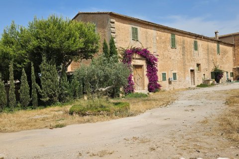 Talo Palma de Majorca, Mallorca, Espanja 5300 m2 No. 195142