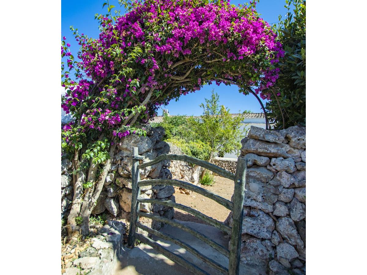 House in Es Castell, Menorca, Spanien 5 Schlafzimmer, 340 m2 Nr. 154969