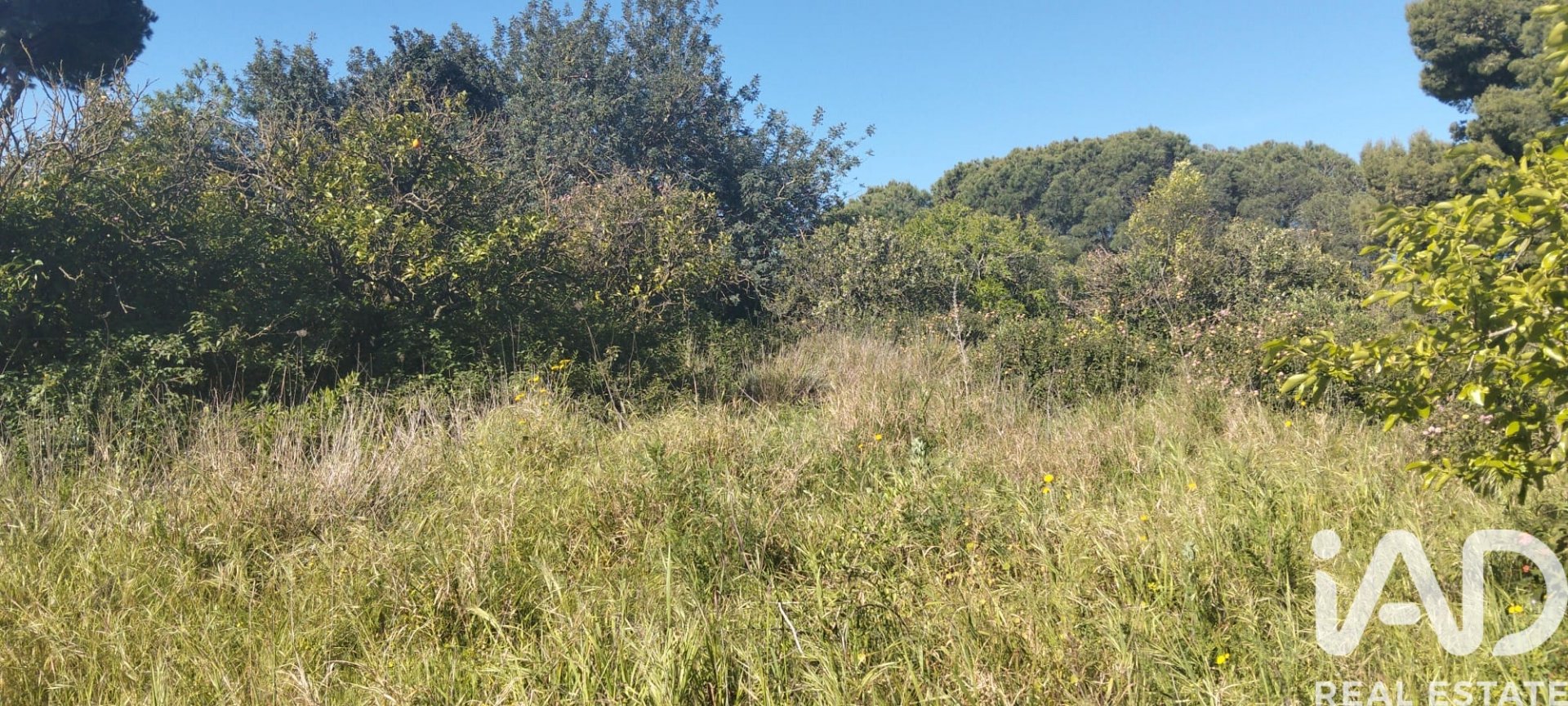 Zemes gabals Chiclana de la Frontera, Cadiz, Spānijā 9000 m2 Nr. 172608