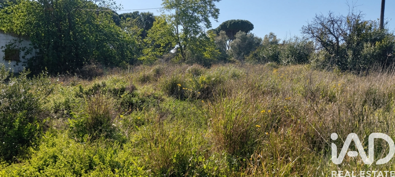Zemes gabals Chiclana de la Frontera, Cadiz, Spānijā 9000 m2 Nr. 172608