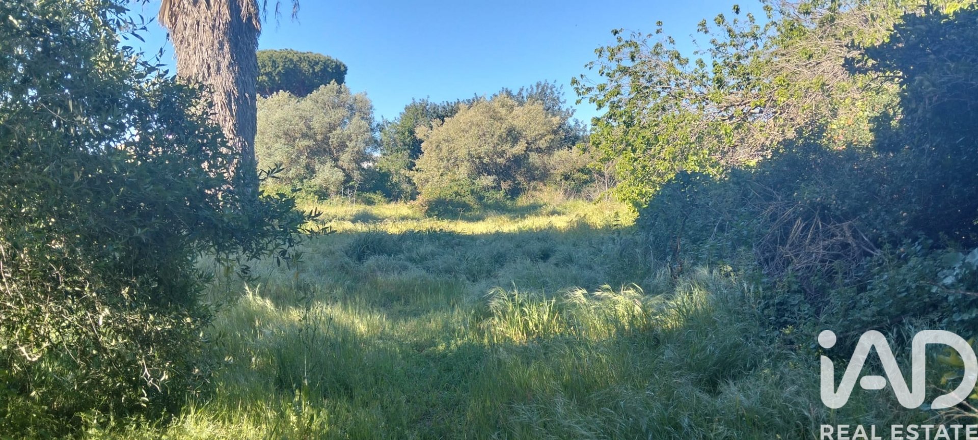 Zemes gabals Chiclana de la Frontera, Cadiz, Spānijā 9000 m2 Nr. 172608