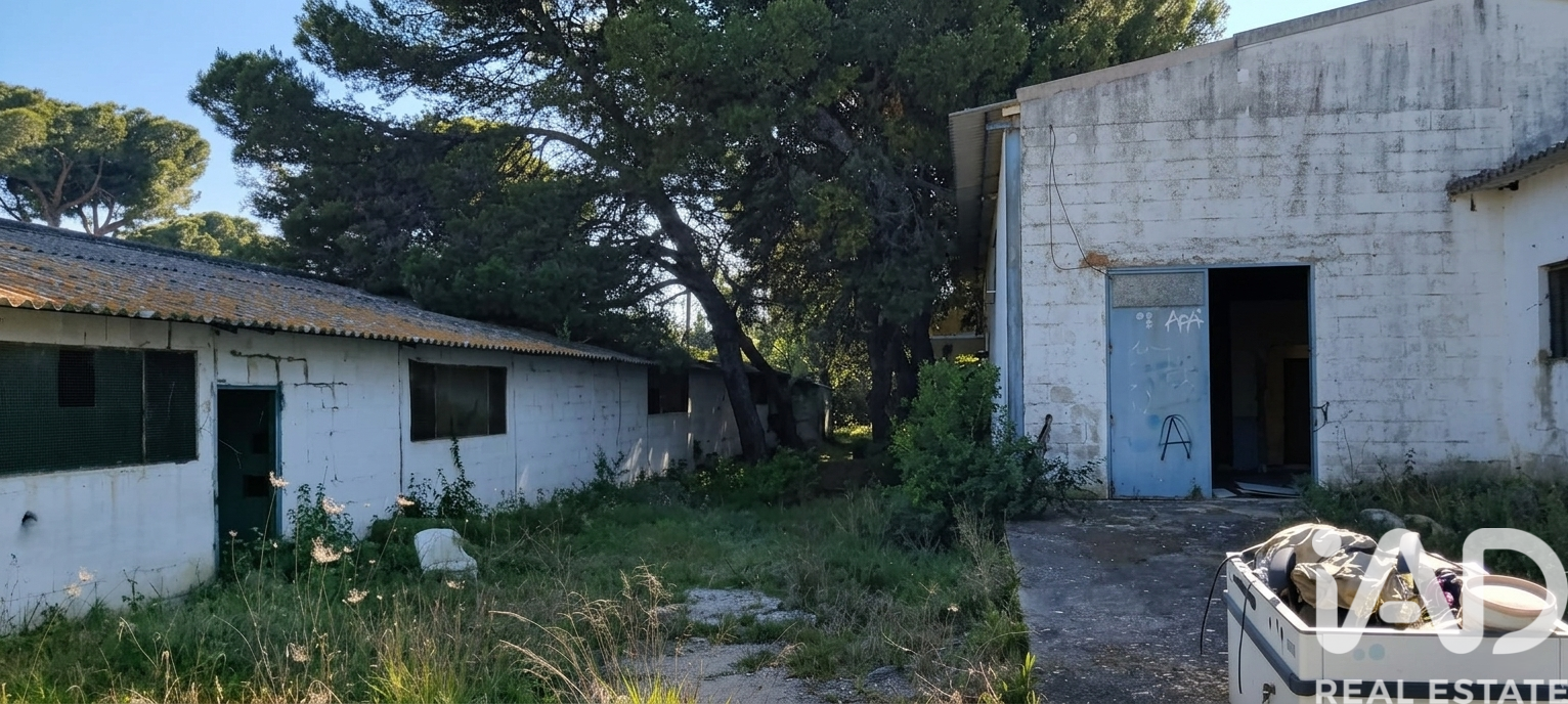 Zemes gabals Chiclana de la Frontera, Cadiz, Spānijā 9000 m2 Nr. 172608