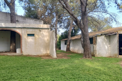 Zemes gabals Chiclana de la Frontera, Cadiz, Spānijā 9000 m2 Nr. 172608