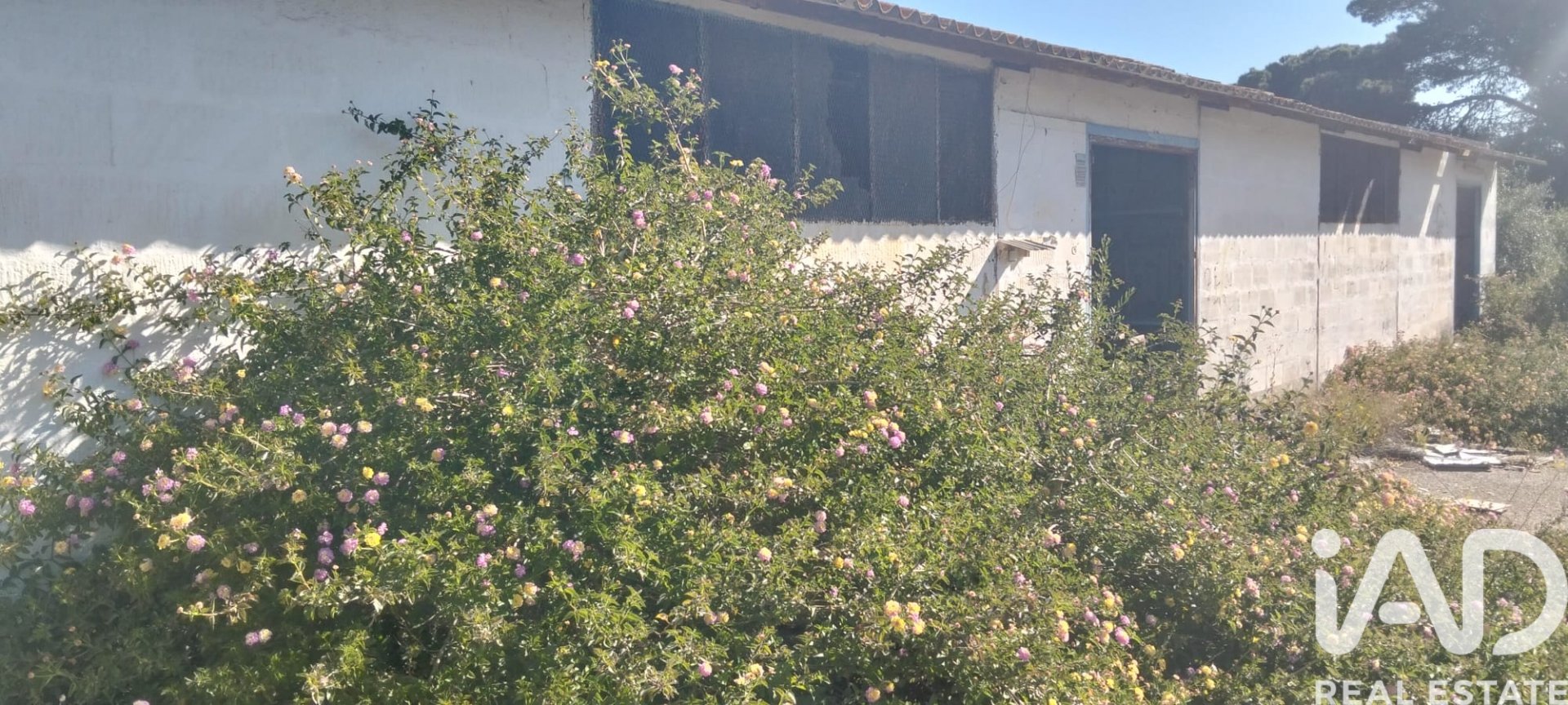 Zemes gabals Chiclana de la Frontera, Cadiz, Spānijā 9000 m2 Nr. 172608