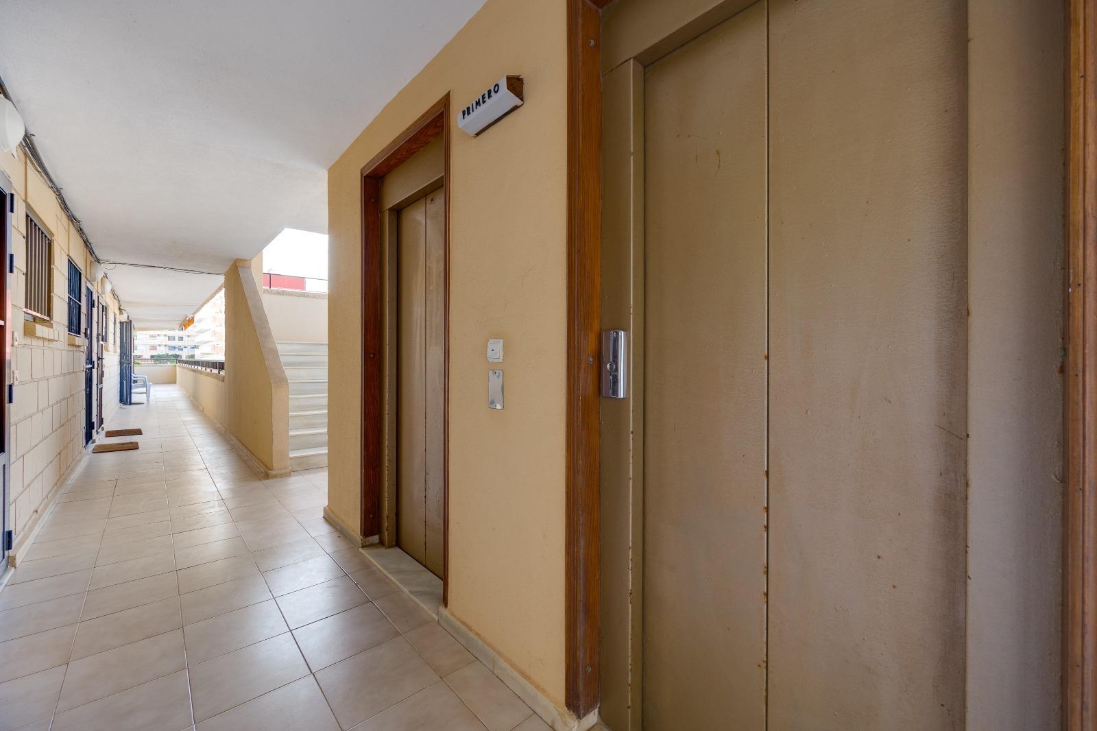 Apartamento en Torrevieja, Alicante, España 1 dormitorio, 52 m2 No. 182982