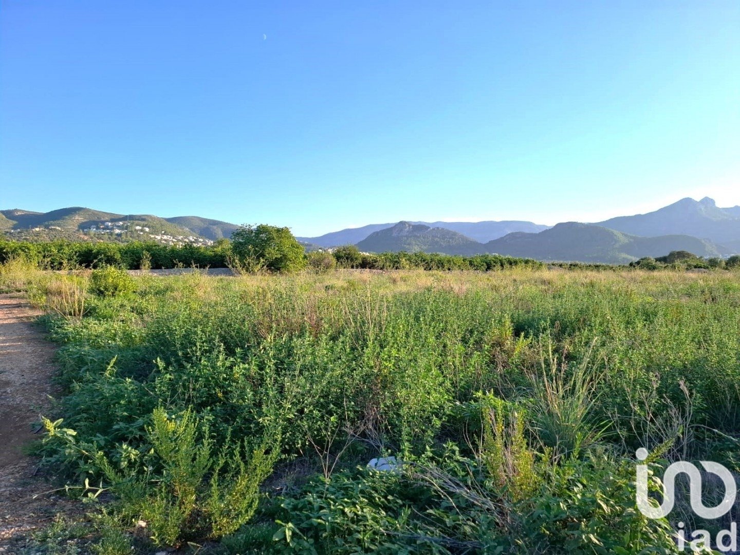 Land plot in Orba, Alicante, Spain 5459 sq.m. No. 186112