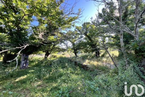 Parcela en Fuenteheridos, Huelva, España 7974 m2 No. 186111