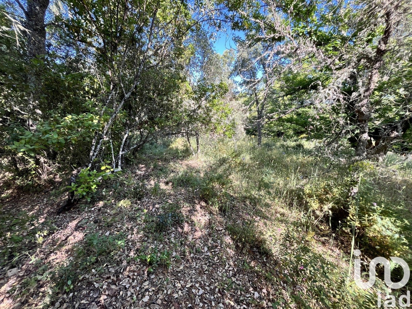 Działka w Fuenteheridos, Huelva, Hiszpania 7974 mkw. nr 186111
