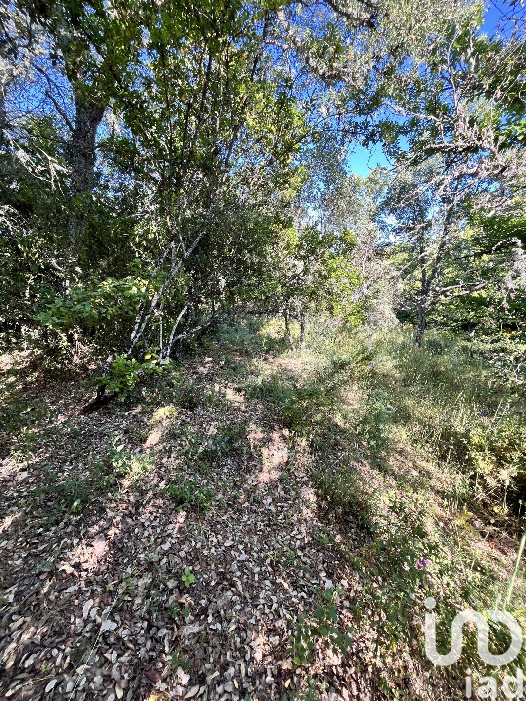 Działka w Fuenteheridos, Huelva, Hiszpania 7974 mkw. nr 186111