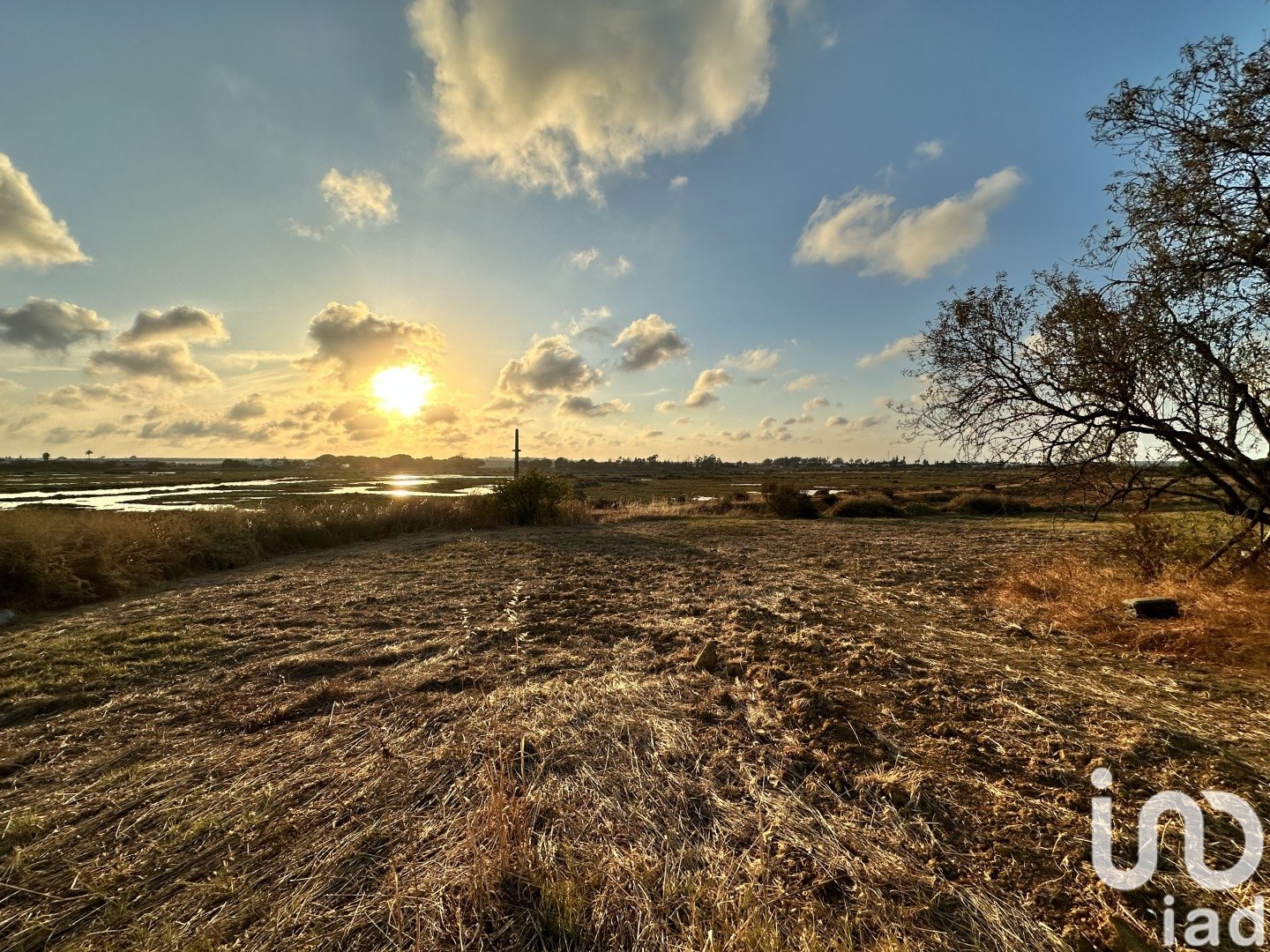 Land plot à Cartaya, Huelva, Espagne 9759 m2 No. 186113