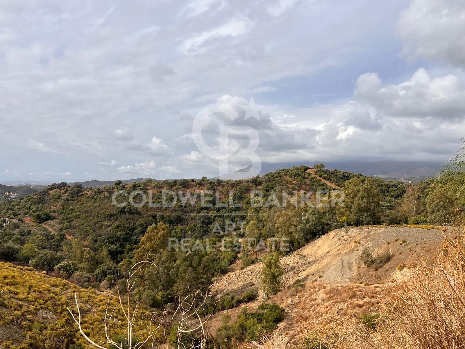 Parcela en Estepona, Málaga, España 4890 m2 No. 157272