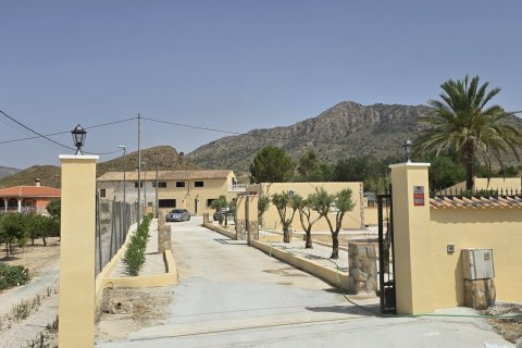 Talo Abanilla, Murcia, Espanja 5 makuuhuonetta, 360 m2 No. 195071
