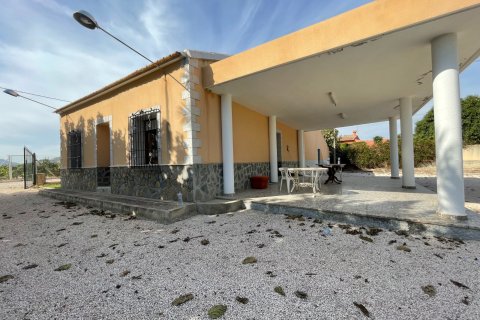 Villa à Redovan, Alicante, Espagne 2 chambres, 319 m2 No. 116359