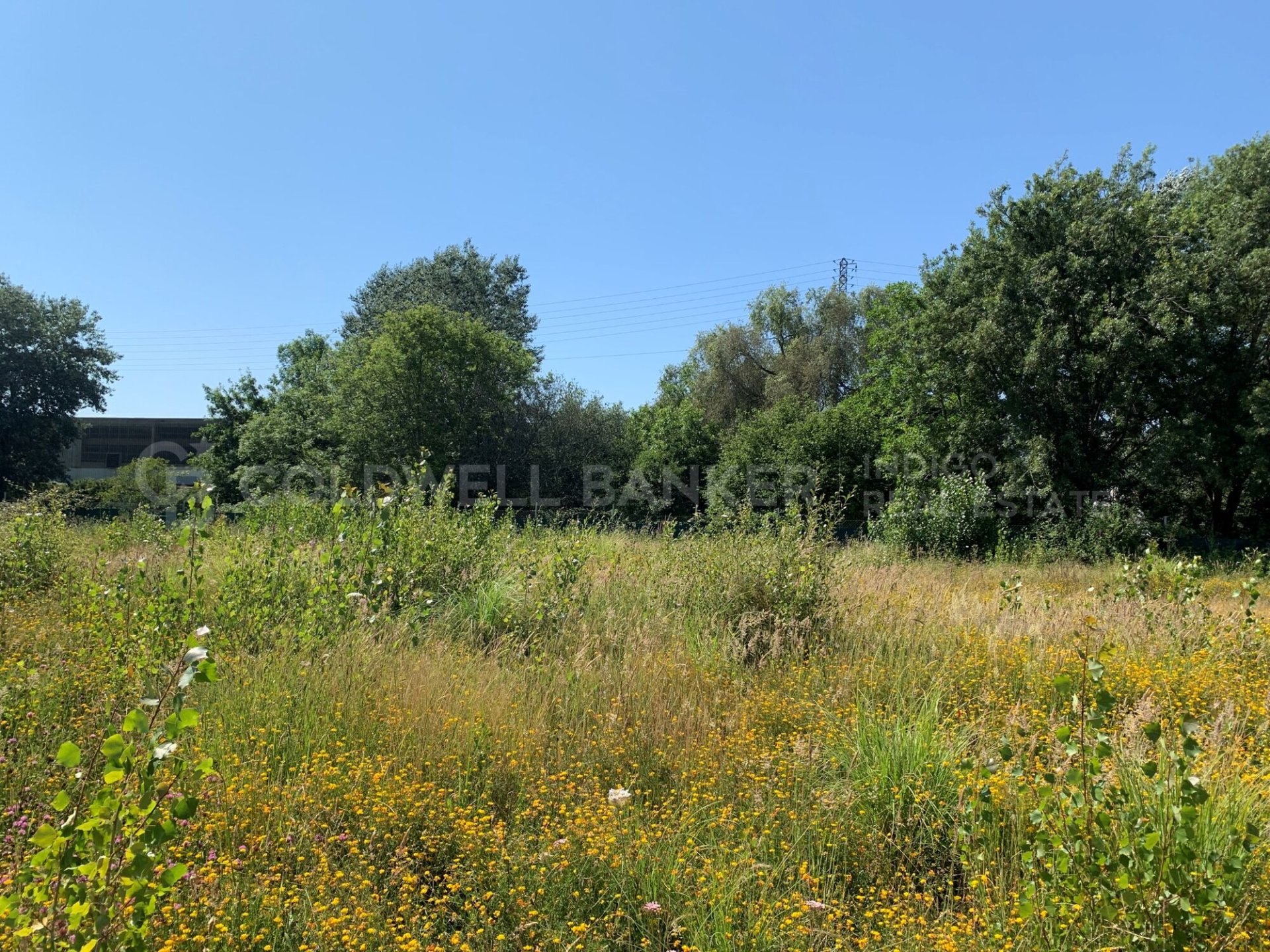 Terreno a Vigo, Pontevedra, Spagna 15000 mq. N° 160115
