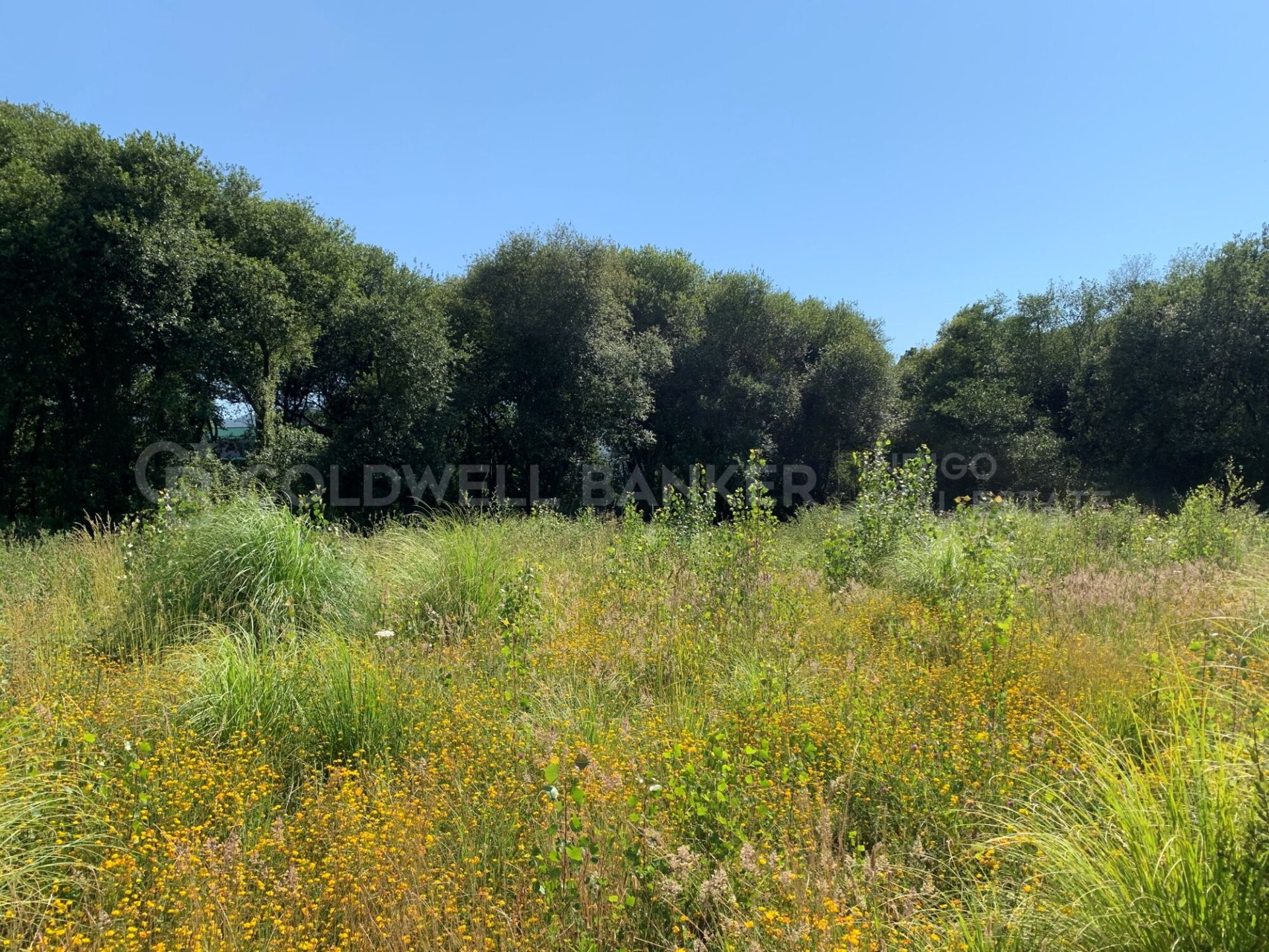Terreno a Vigo, Pontevedra, Spagna 15000 mq. N° 160115