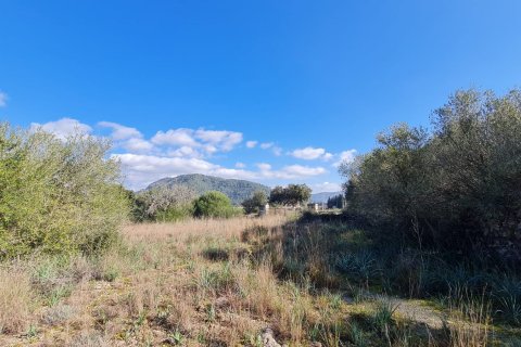 Działka w Sa Pobla, Mallorca, Hiszpania 105000 mkw. nr 74064