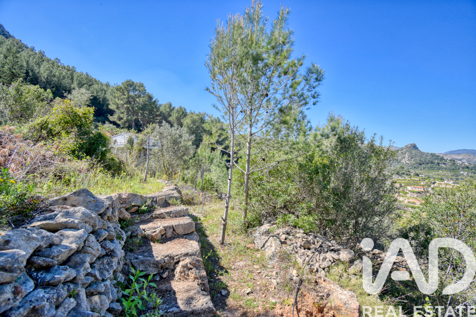 Land plot à Pego, Alicante, Espagne 3910 m2 No. 184885