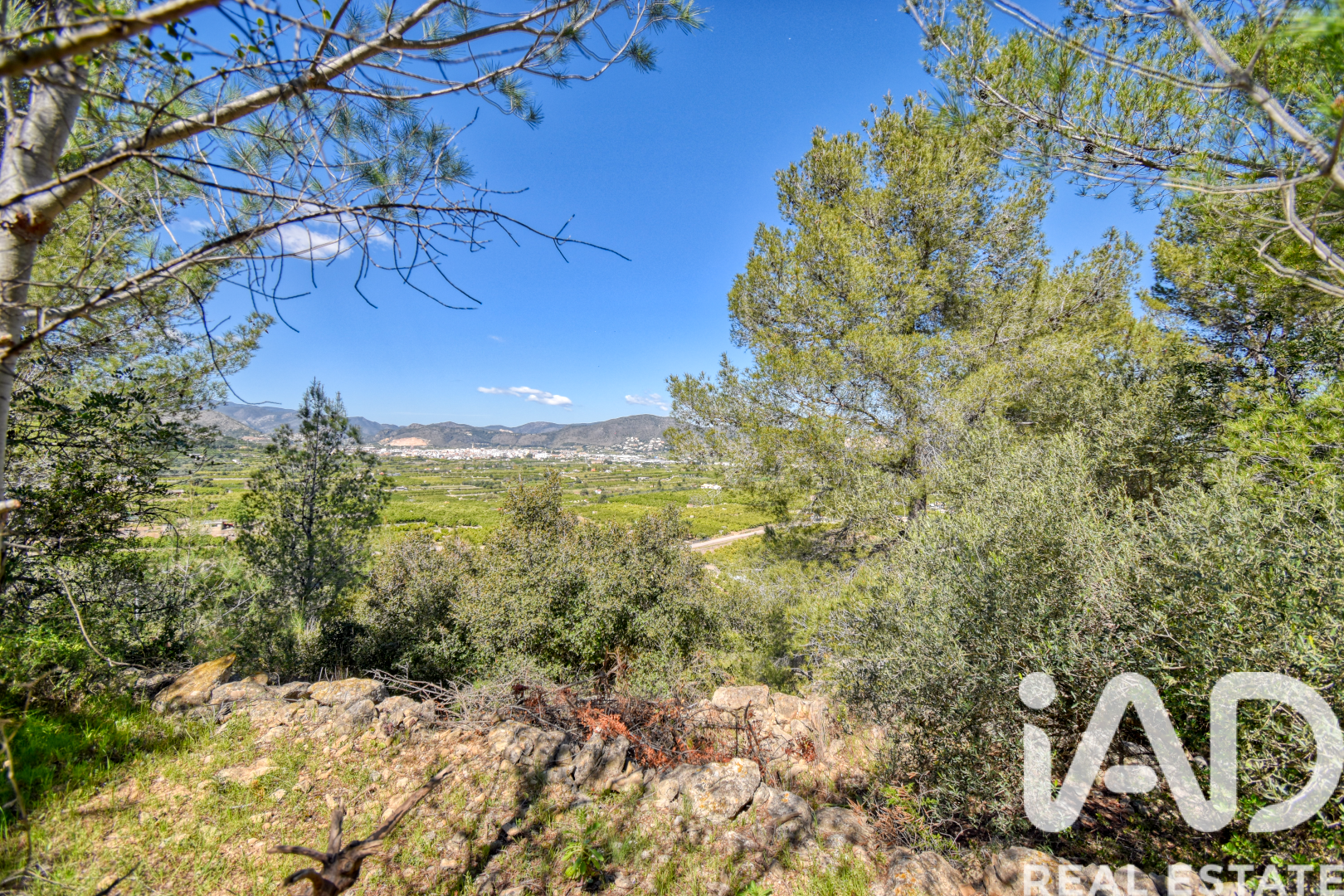 Land plot à Pego, Alicante, Espagne 3910 m2 No. 184885