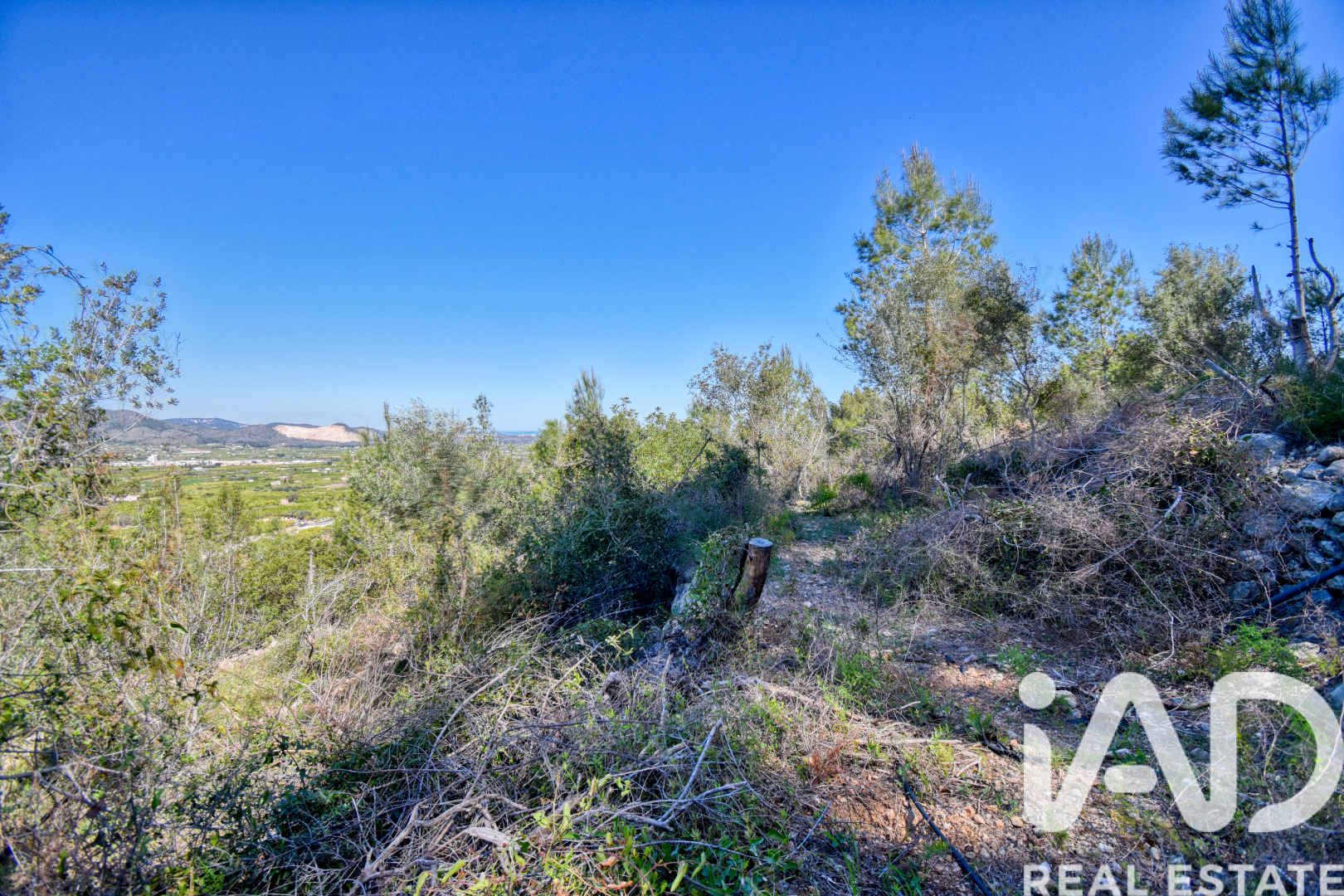 Land plot à Pego, Alicante, Espagne 3910 m2 No. 184885